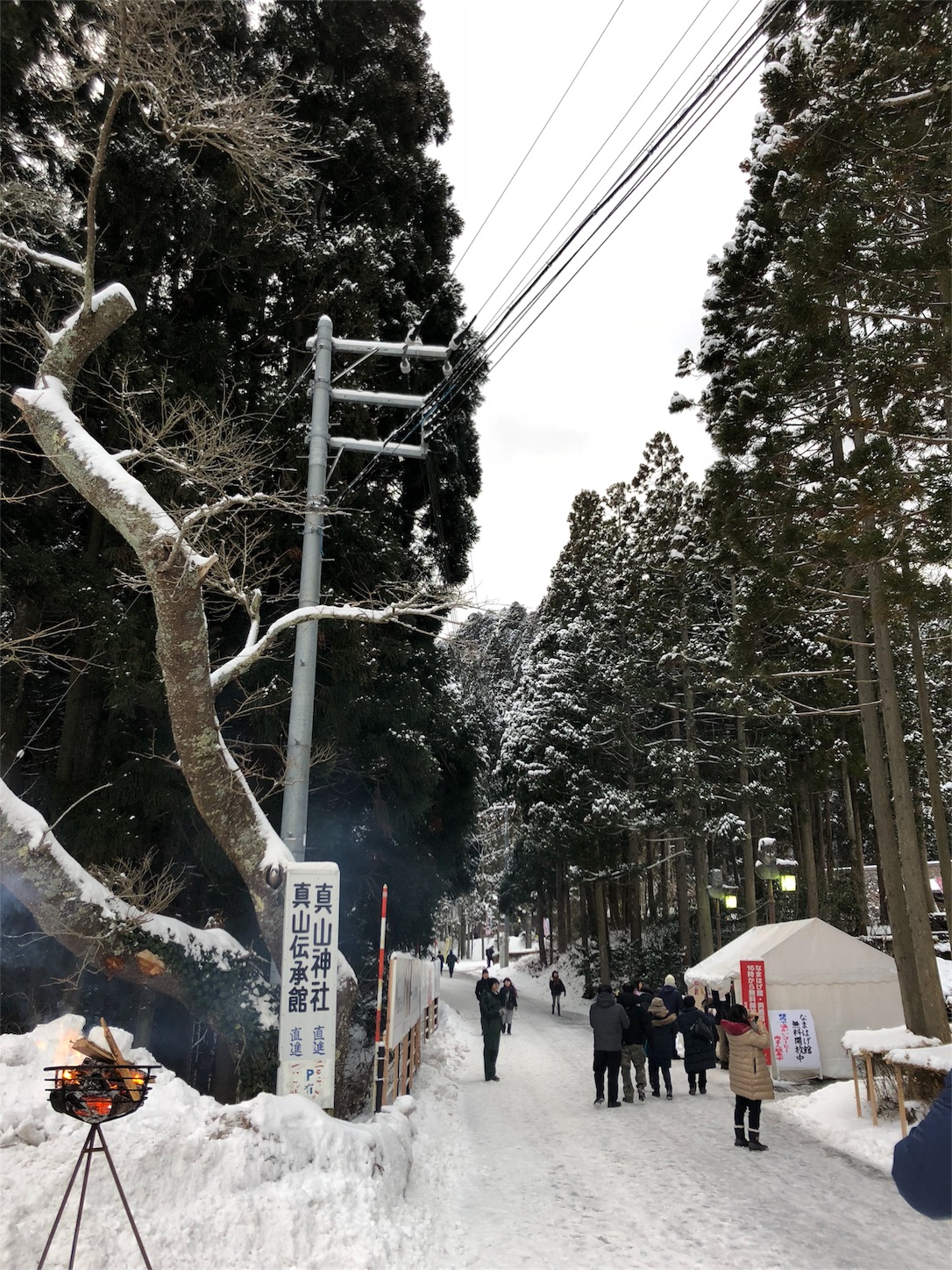 f:id:jeanrenon:20190211181001j:image