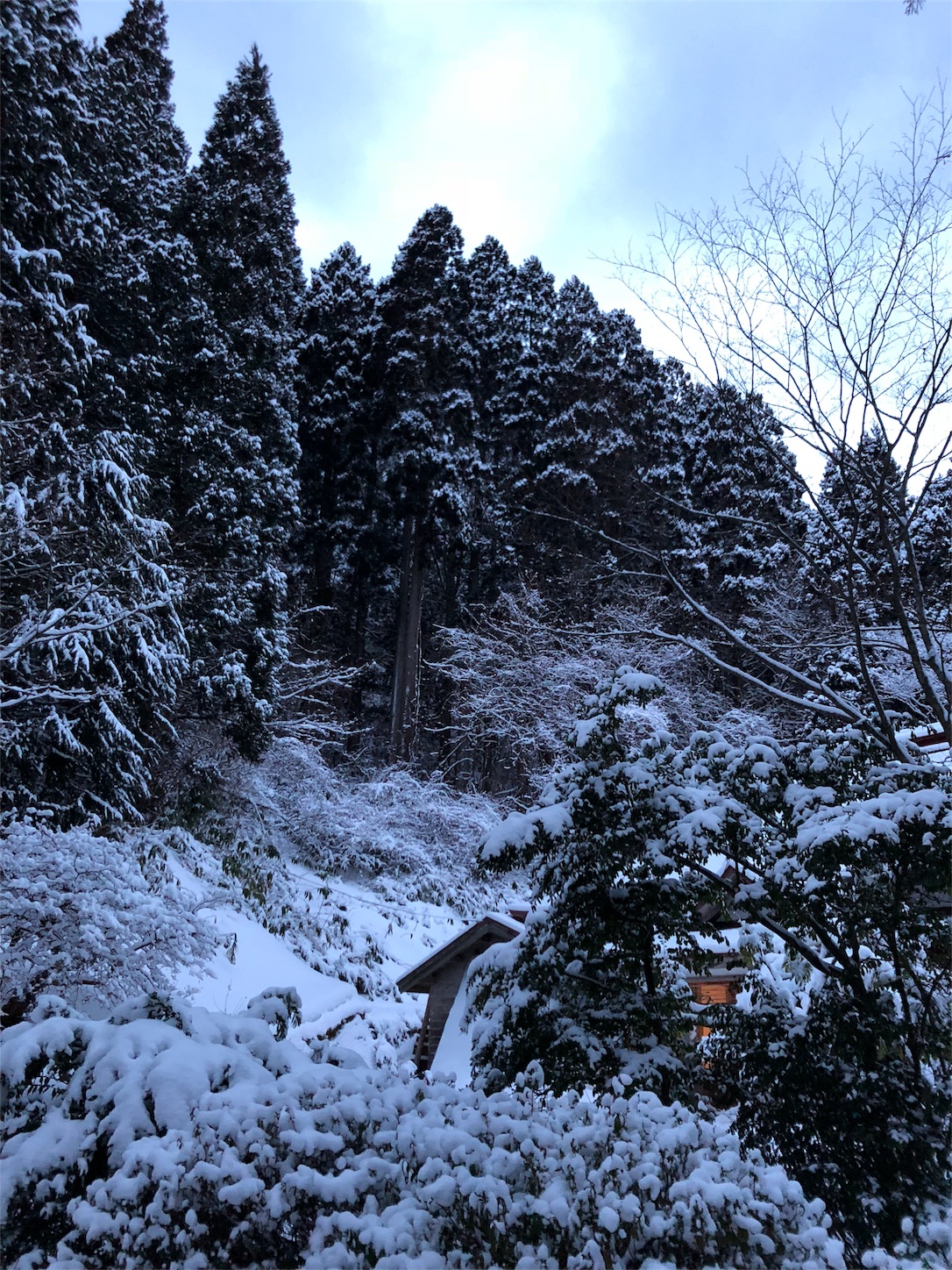 f:id:jeanrenon:20190211181021j:image