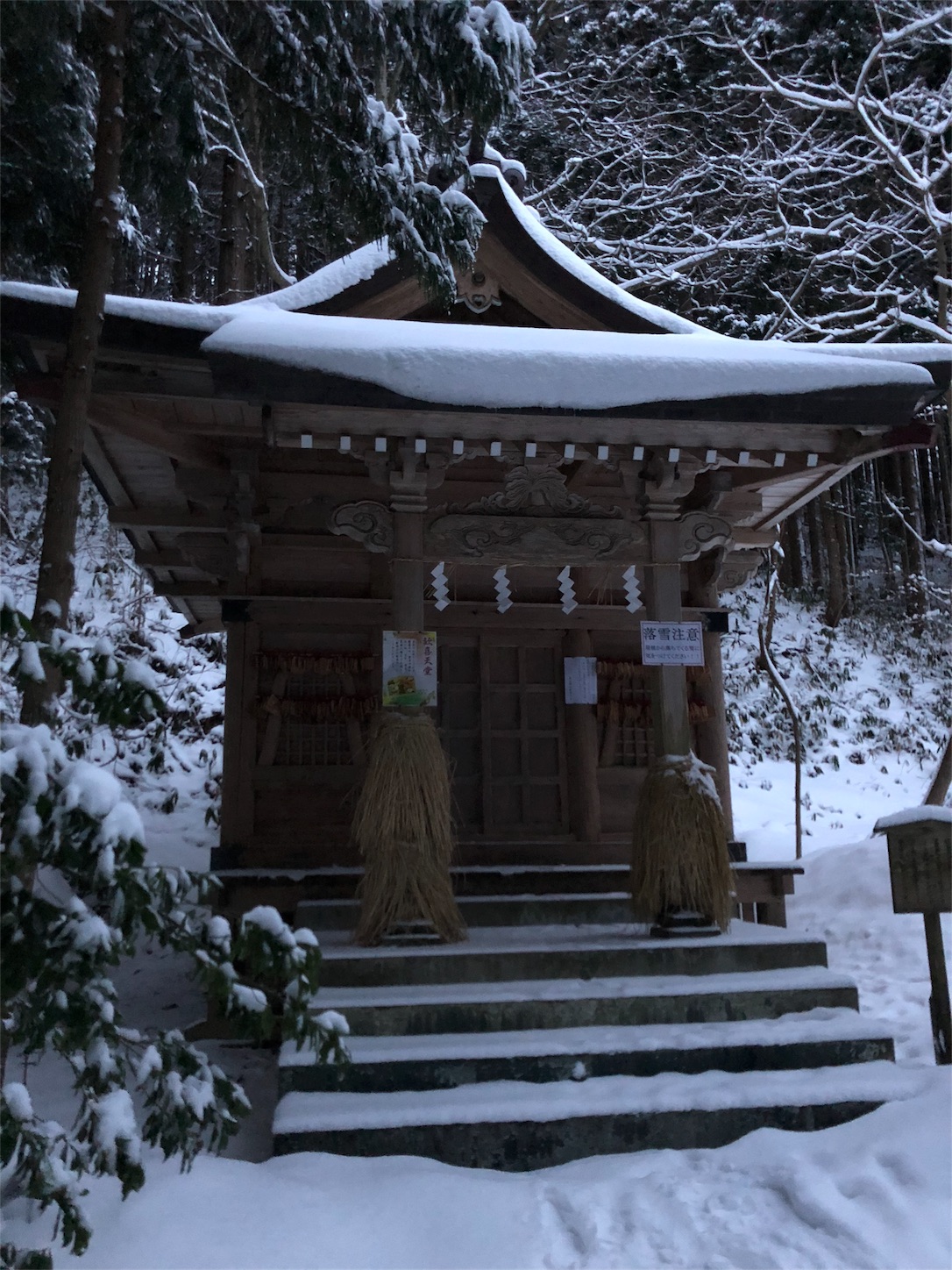 f:id:jeanrenon:20190211183013j:image