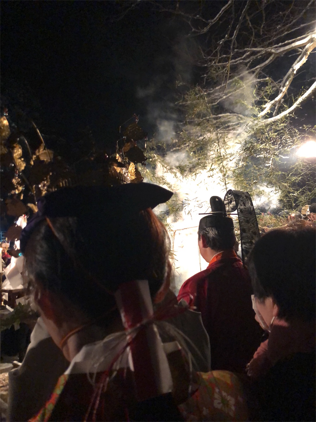f:id:jeanrenon:20190211183037j:image