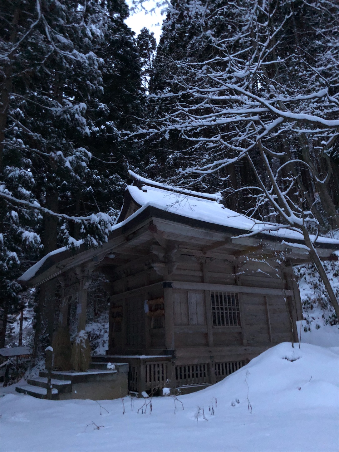 f:id:jeanrenon:20190211183047j:image