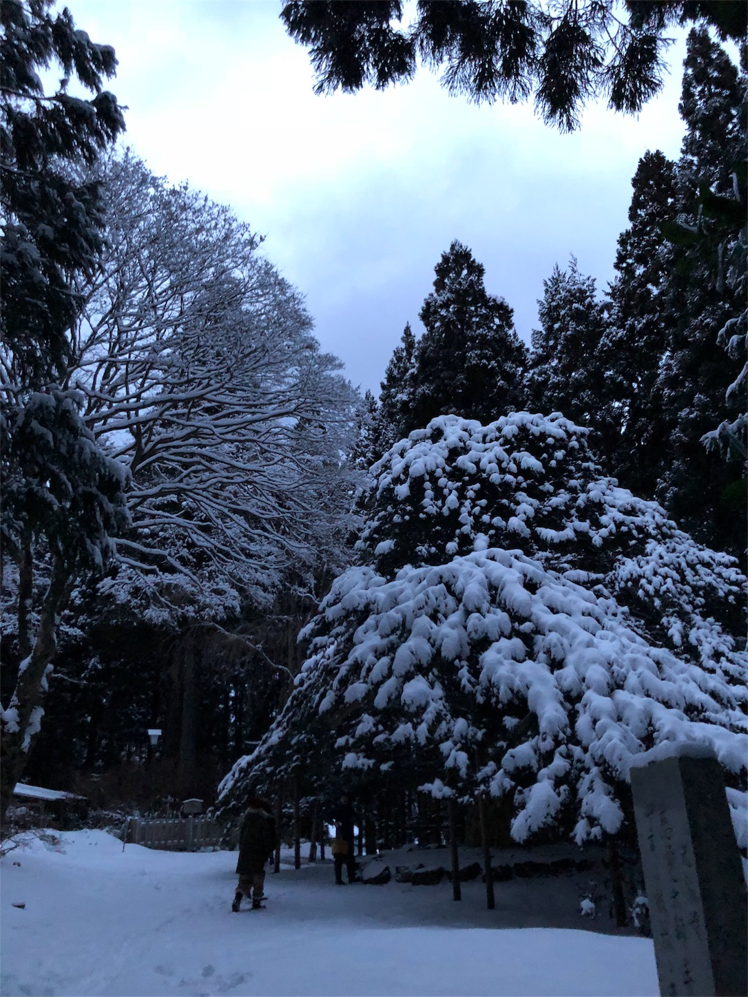 f:id:jeanrenon:20190211183102j:image
