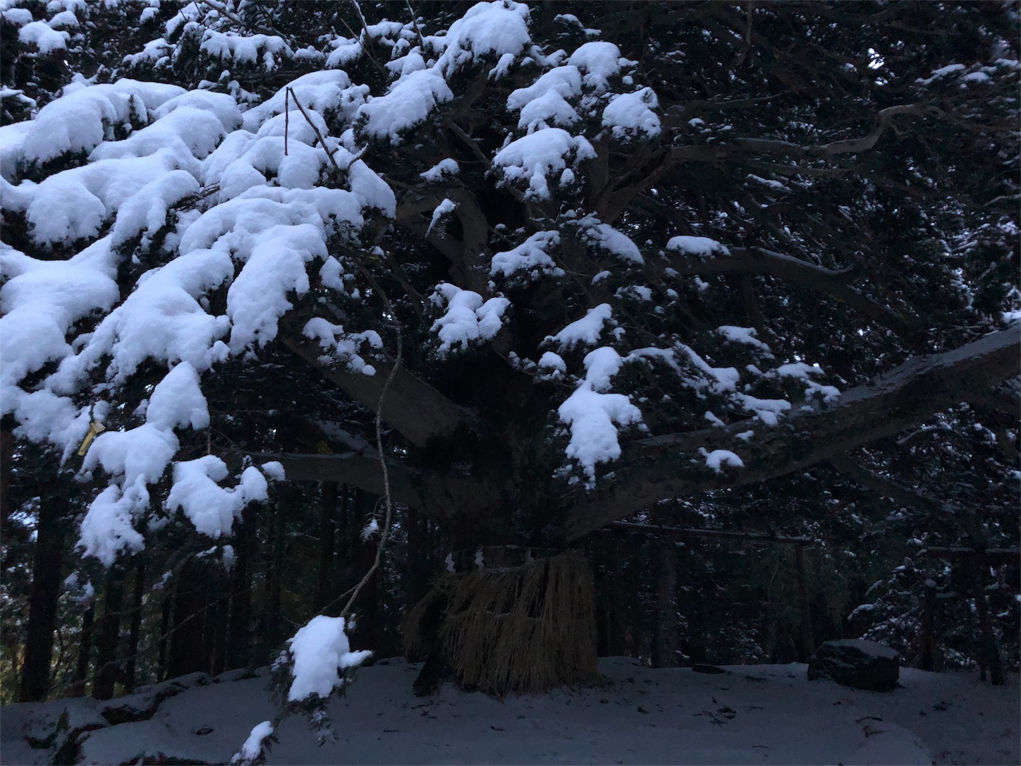 f:id:jeanrenon:20190211183203j:image