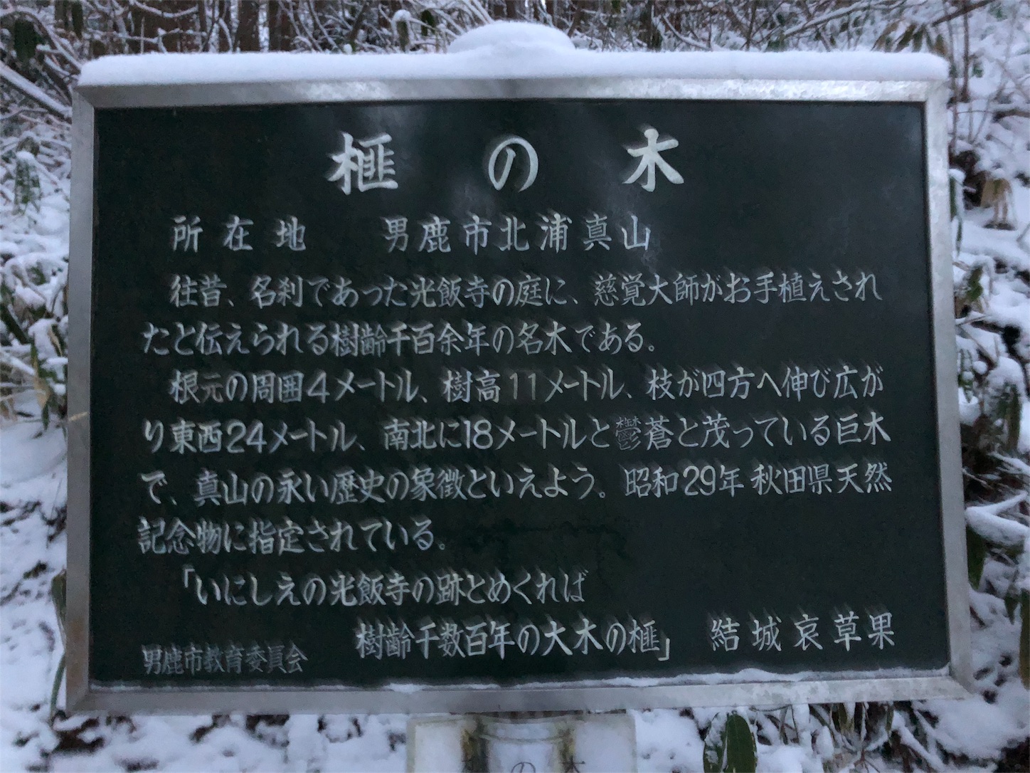 f:id:jeanrenon:20190211183224j:image
