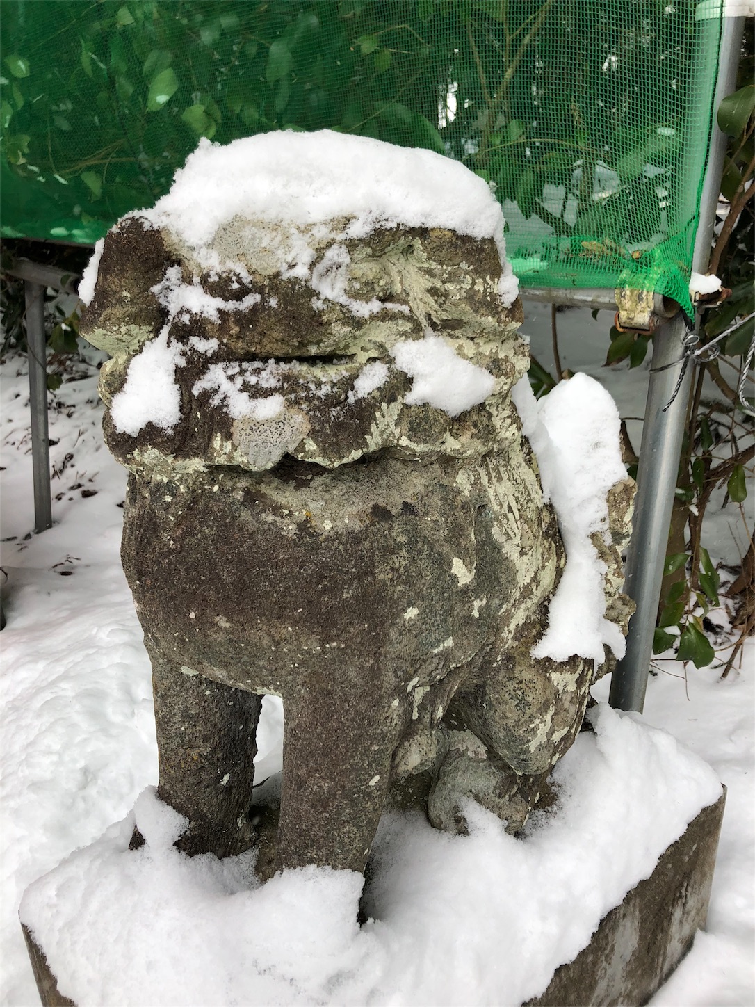 f:id:jeanrenon:20190211185740j:image