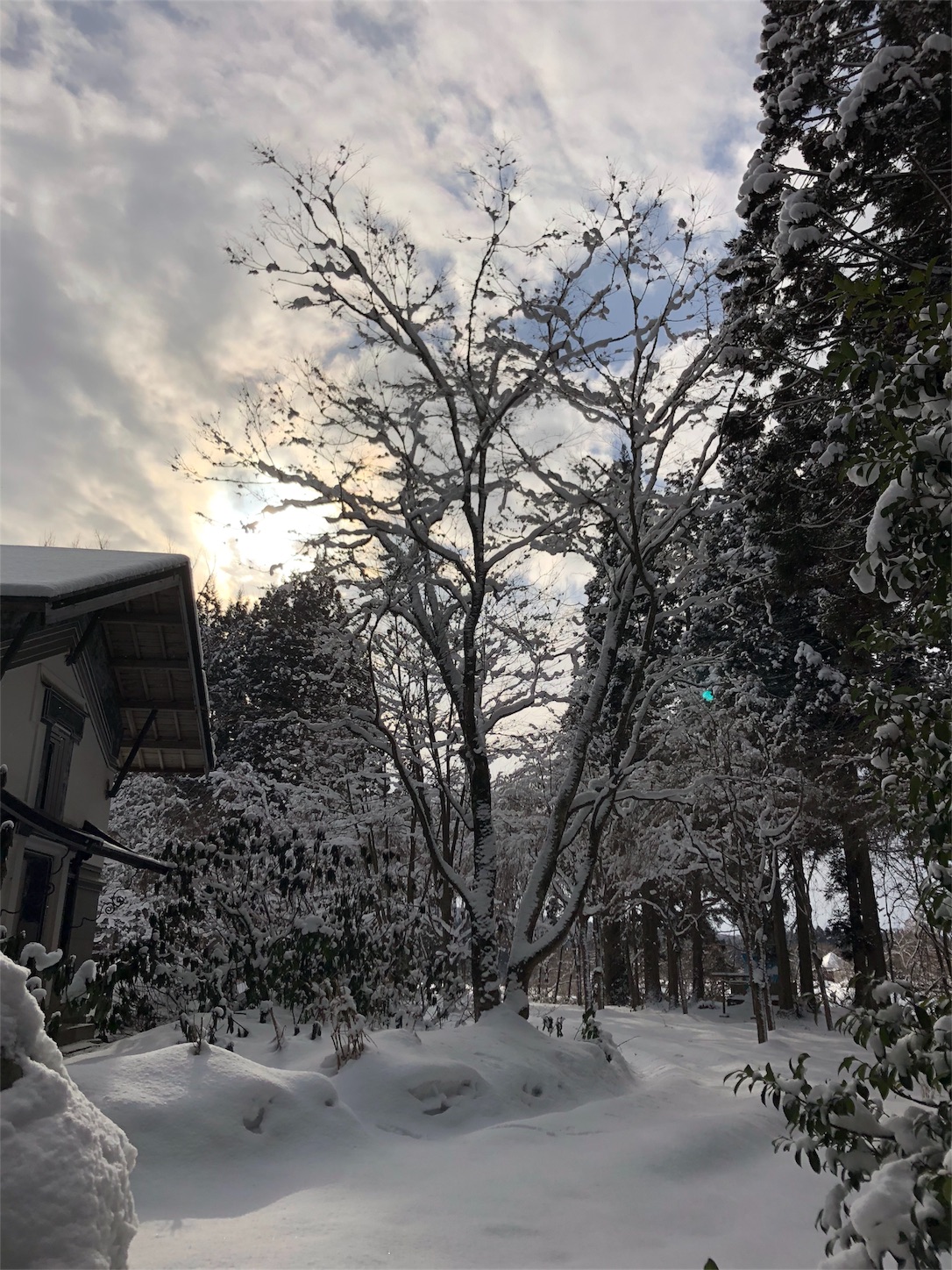 f:id:jeanrenon:20190211185750j:image