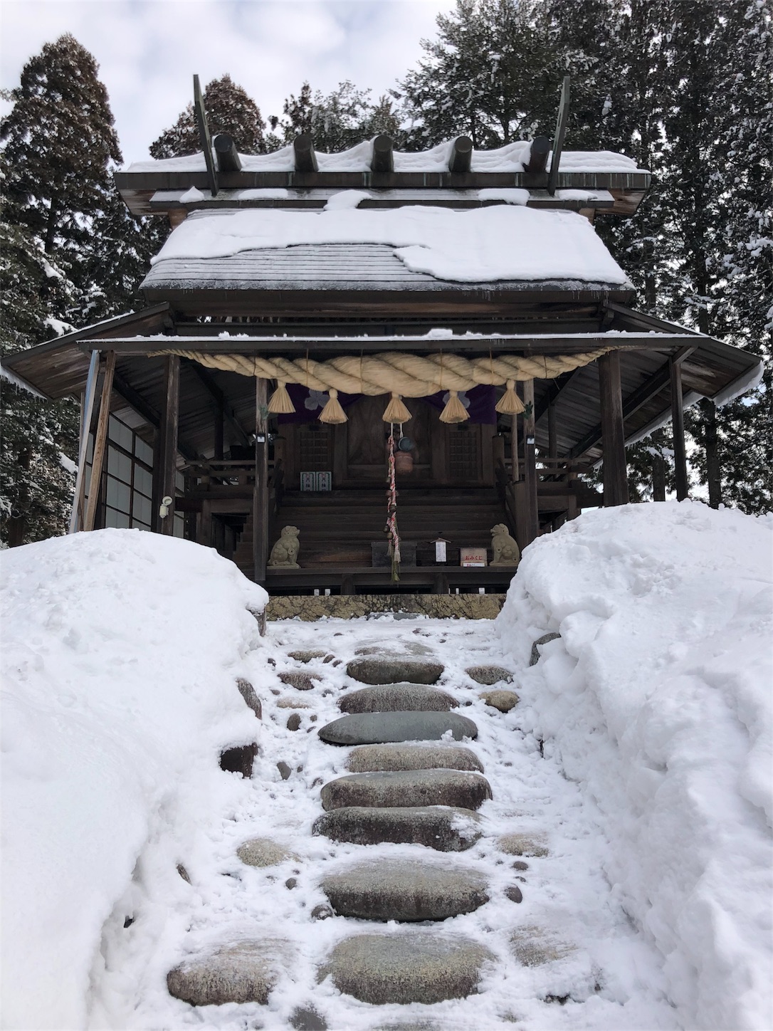 f:id:jeanrenon:20190211185759j:image