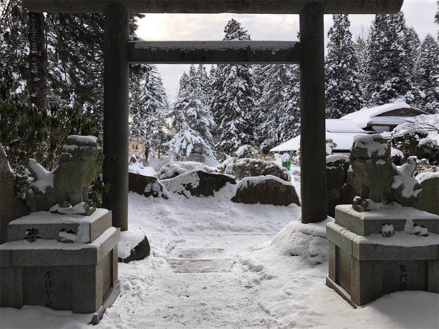f:id:jeanrenon:20190211185805j:image
