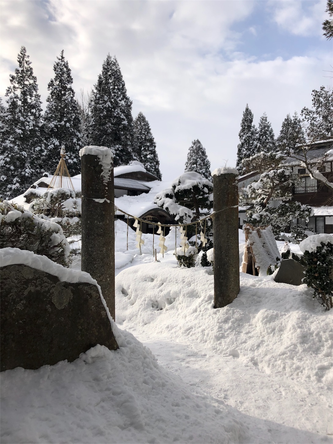 f:id:jeanrenon:20190211185815j:image