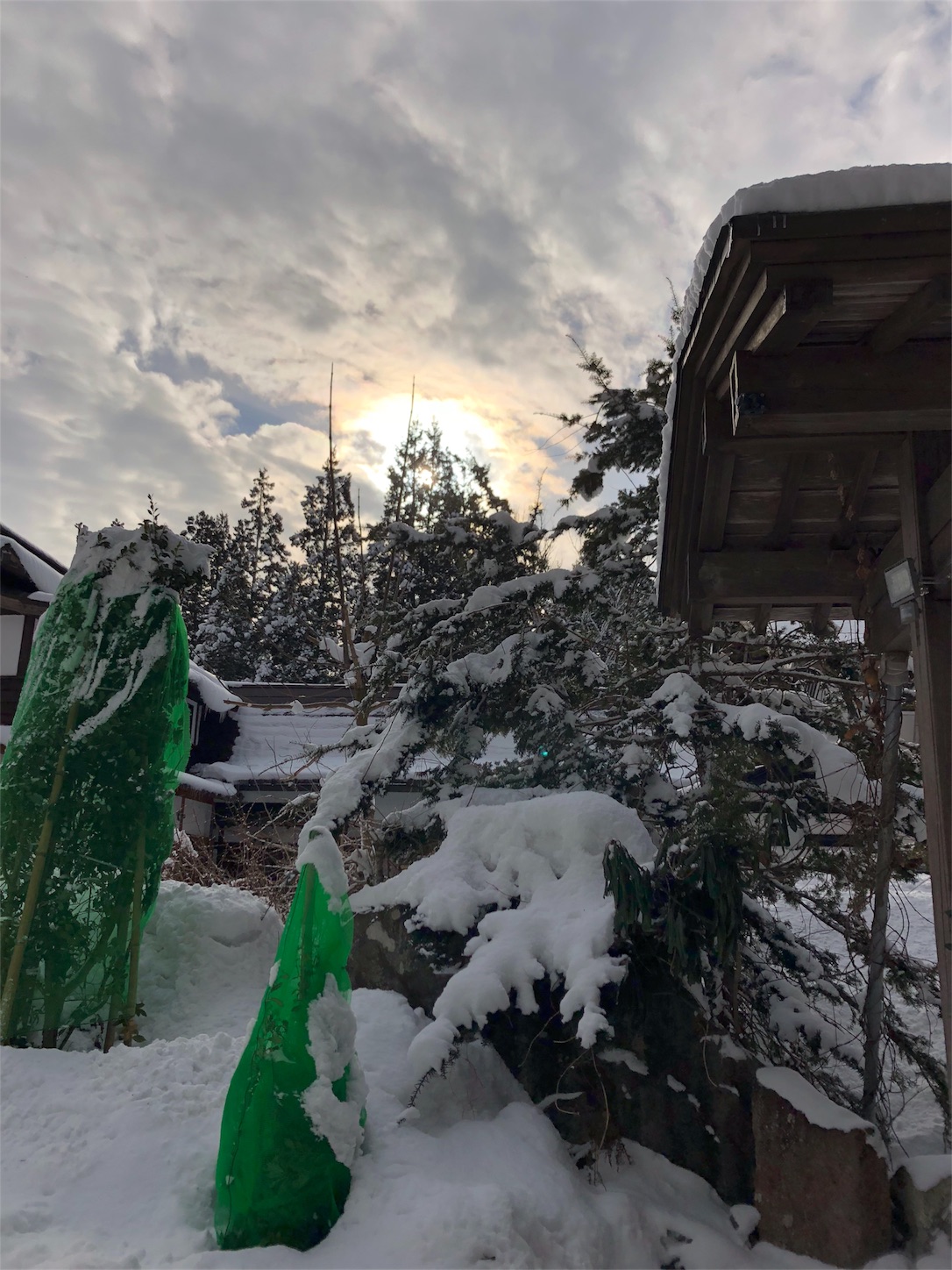 f:id:jeanrenon:20190211185839j:image