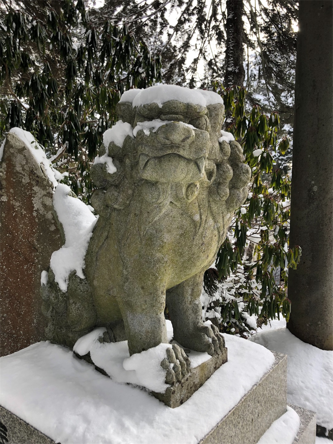 f:id:jeanrenon:20190211185848j:image