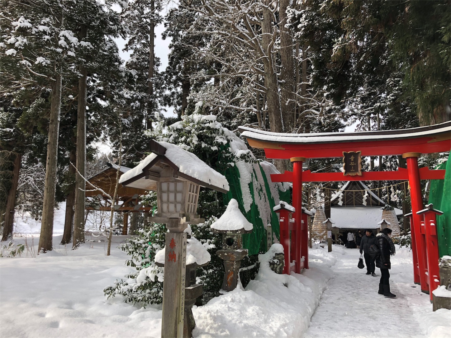 f:id:jeanrenon:20190211185928j:image