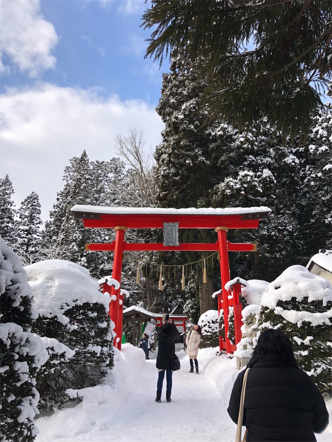 f:id:jeanrenon:20190211185932j:image
