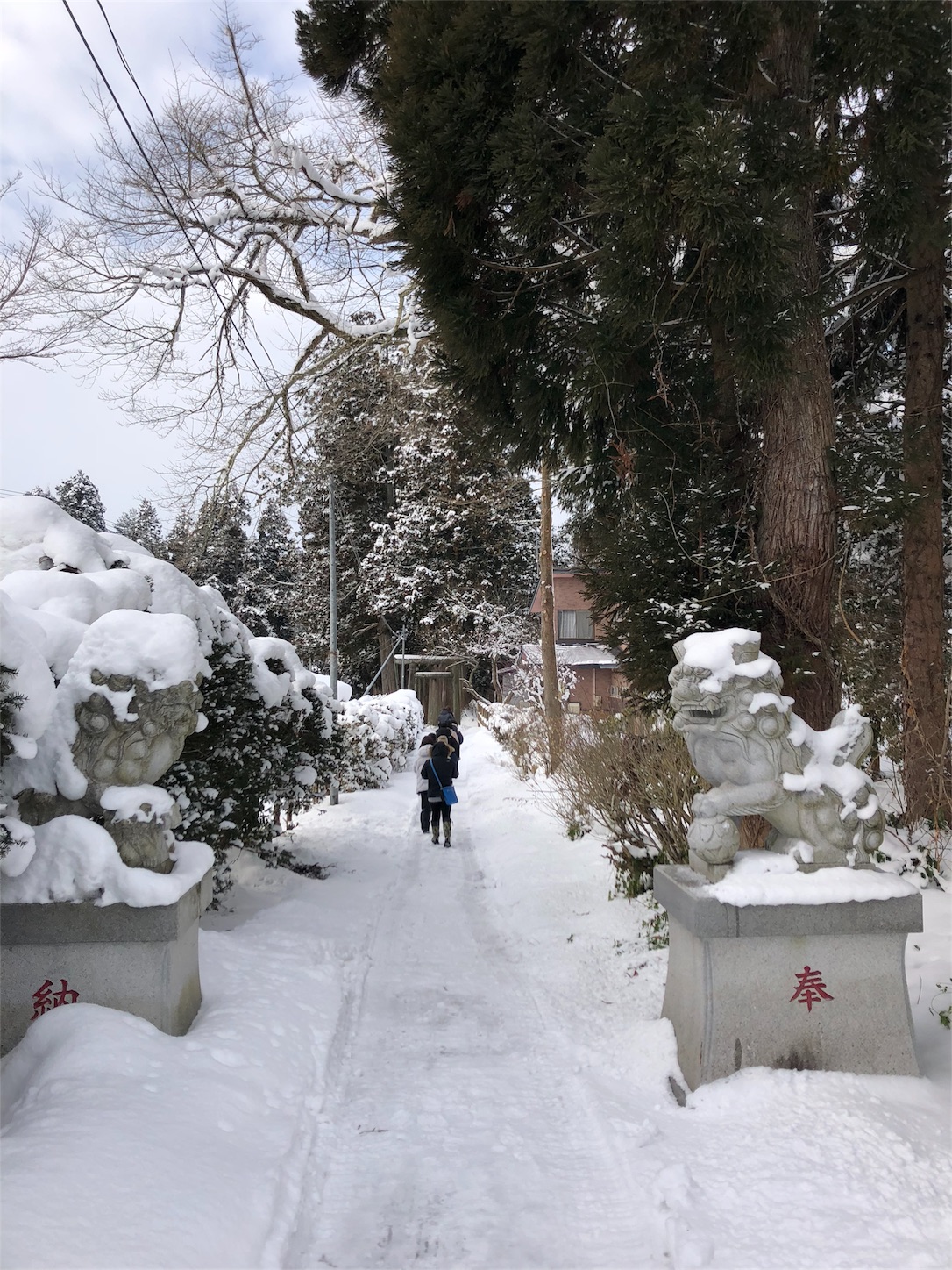 f:id:jeanrenon:20190211185938j:image