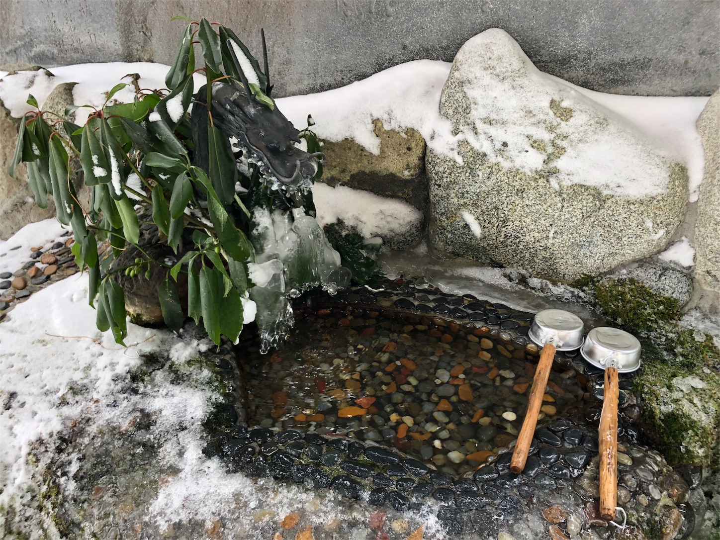 f:id:jeanrenon:20190211185943j:image