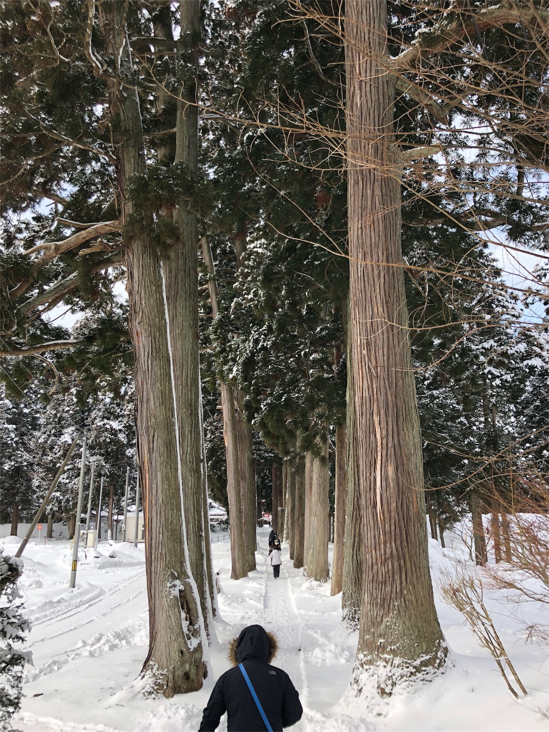 f:id:jeanrenon:20190211185948j:image