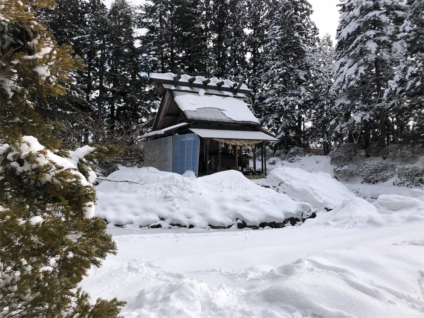f:id:jeanrenon:20190211190012j:image