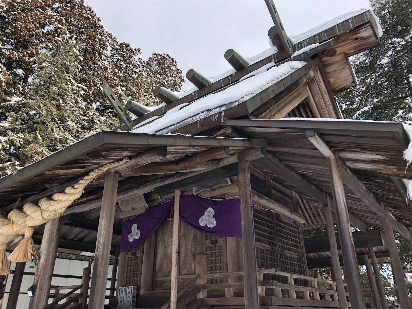 f:id:jeanrenon:20190211190021j:image
