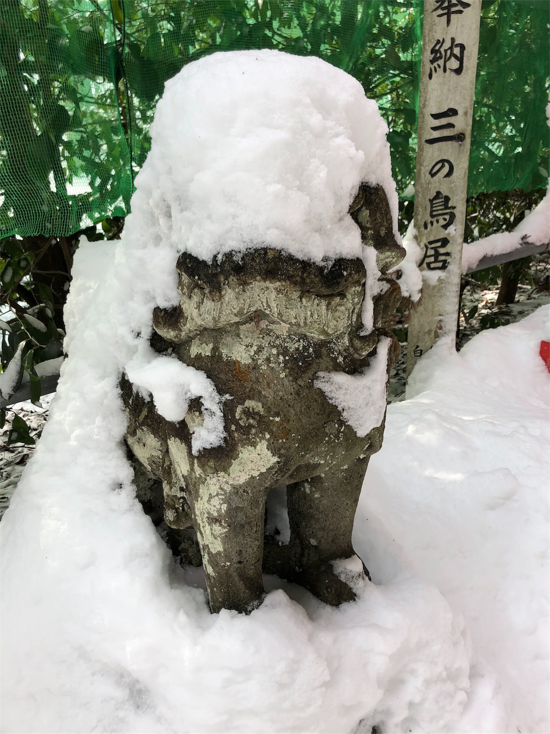 f:id:jeanrenon:20190211190040j:image