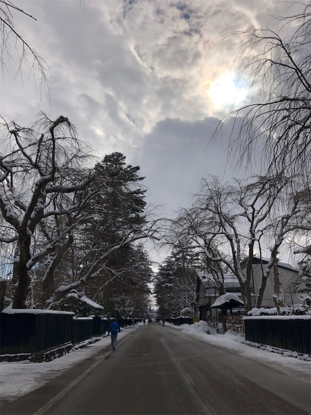 f:id:jeanrenon:20190211191631j:image