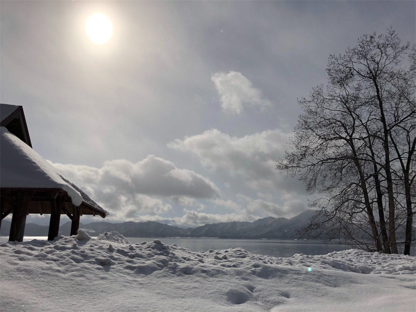 f:id:jeanrenon:20190211191702j:image