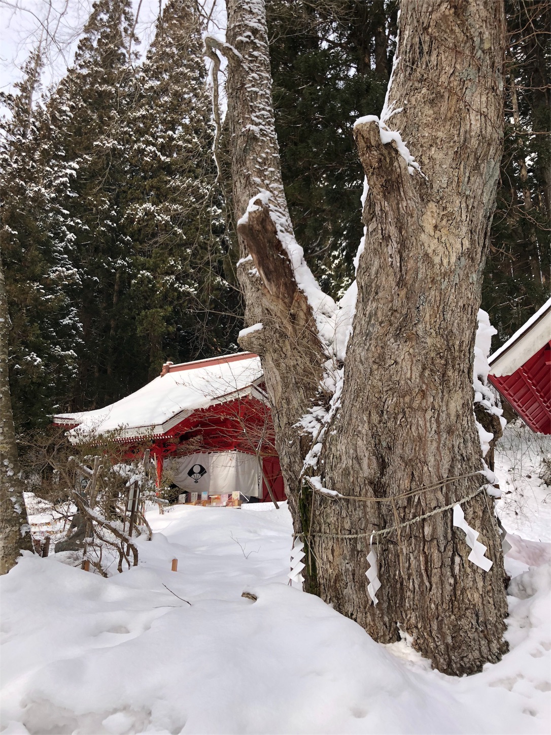 f:id:jeanrenon:20190211191713j:image