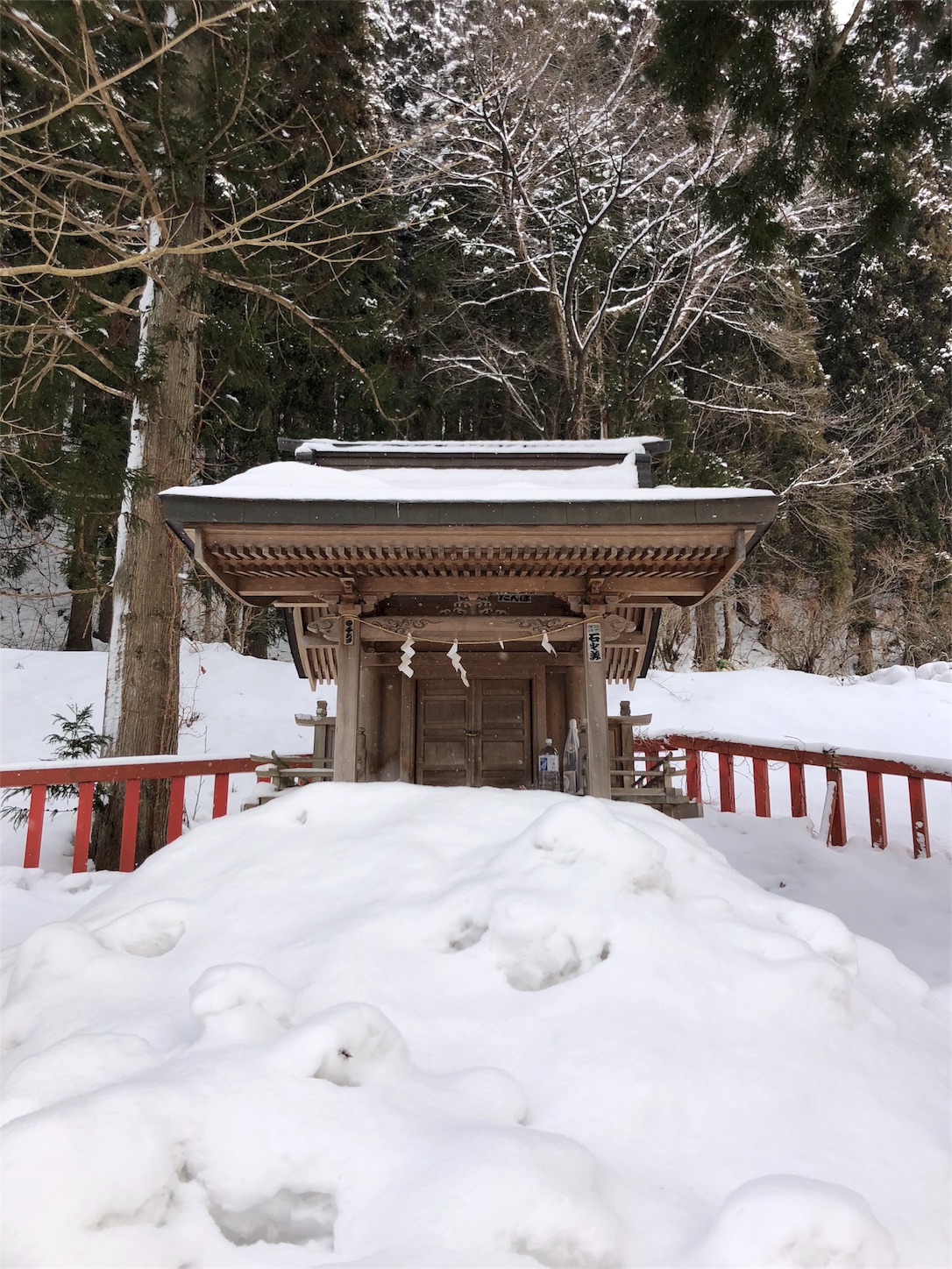 f:id:jeanrenon:20190211191732j:image