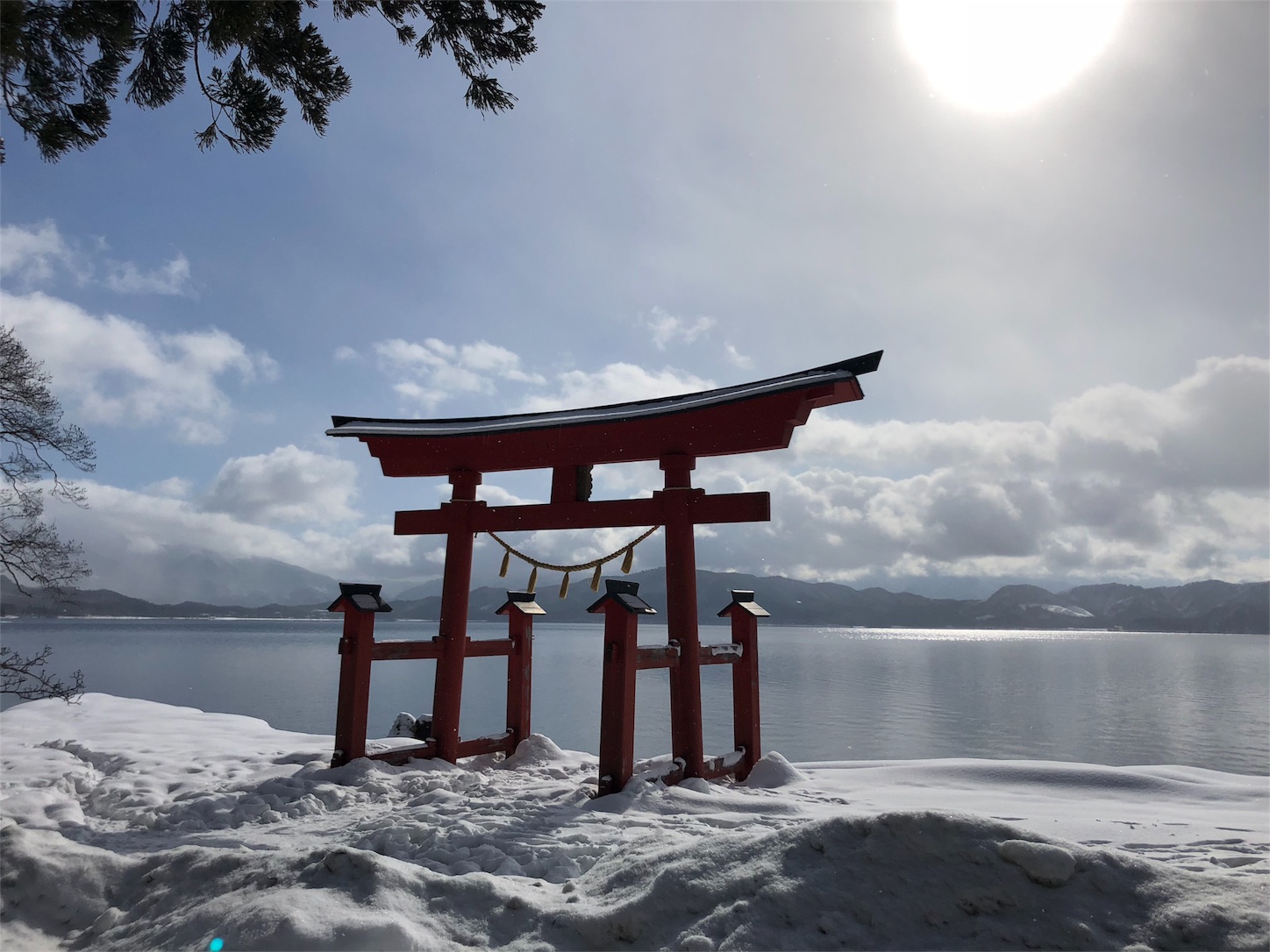 f:id:jeanrenon:20190211191743j:image
