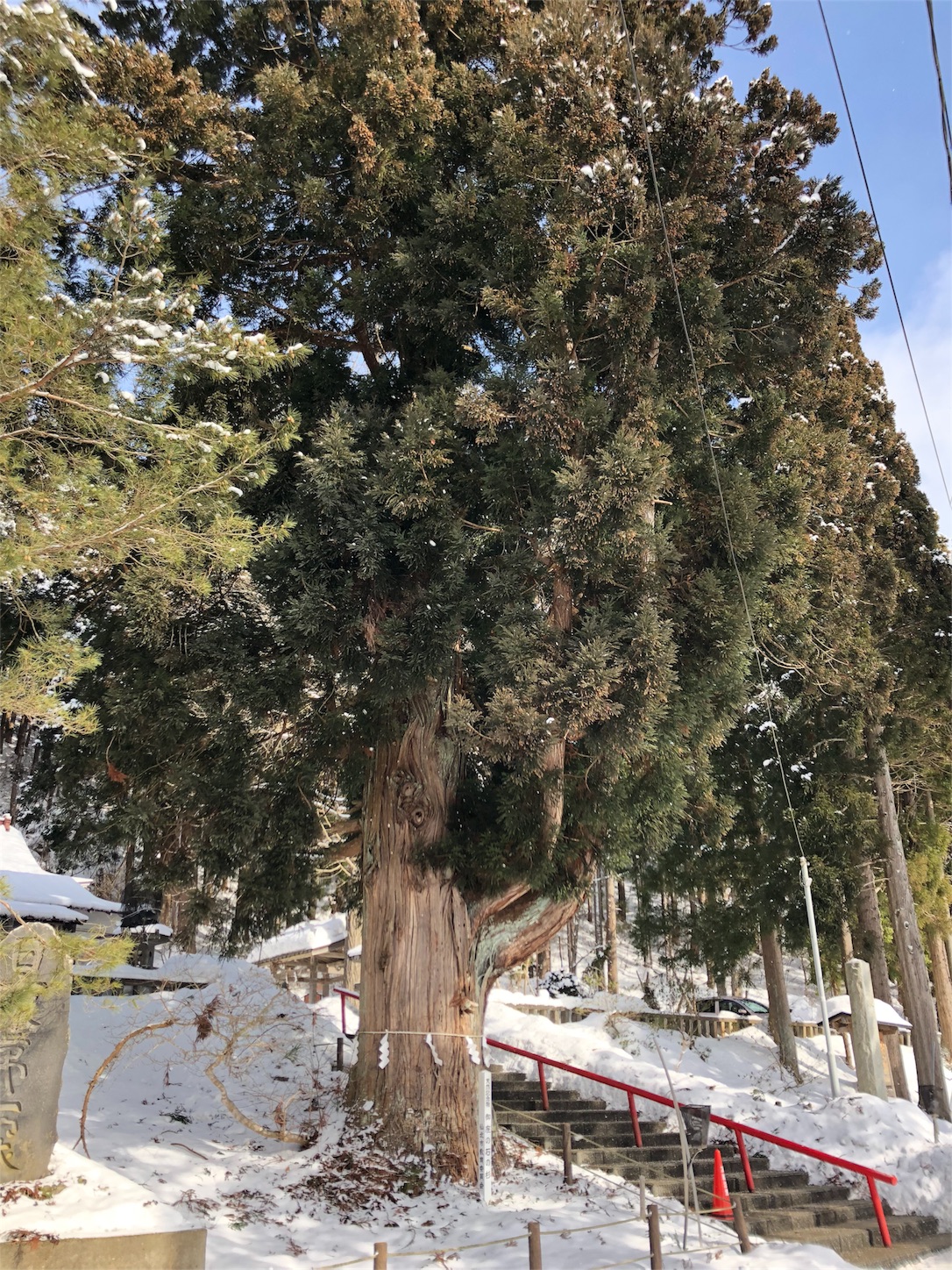 f:id:jeanrenon:20190211191748j:image