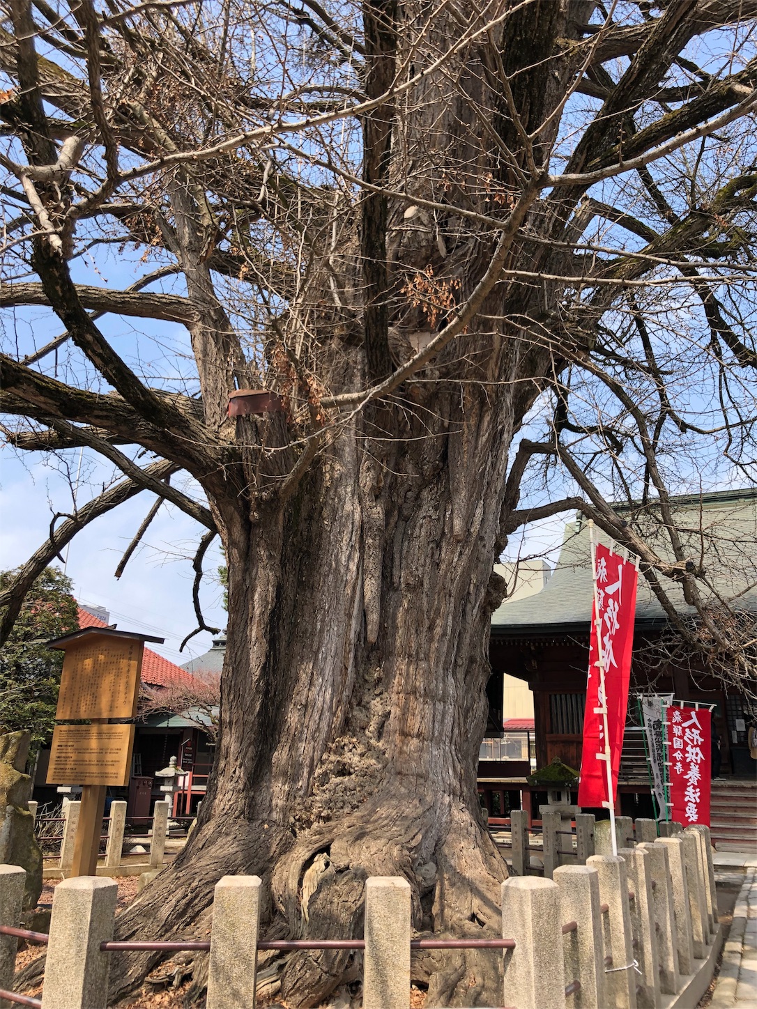 f:id:jeanrenon:20190514100448j:image
