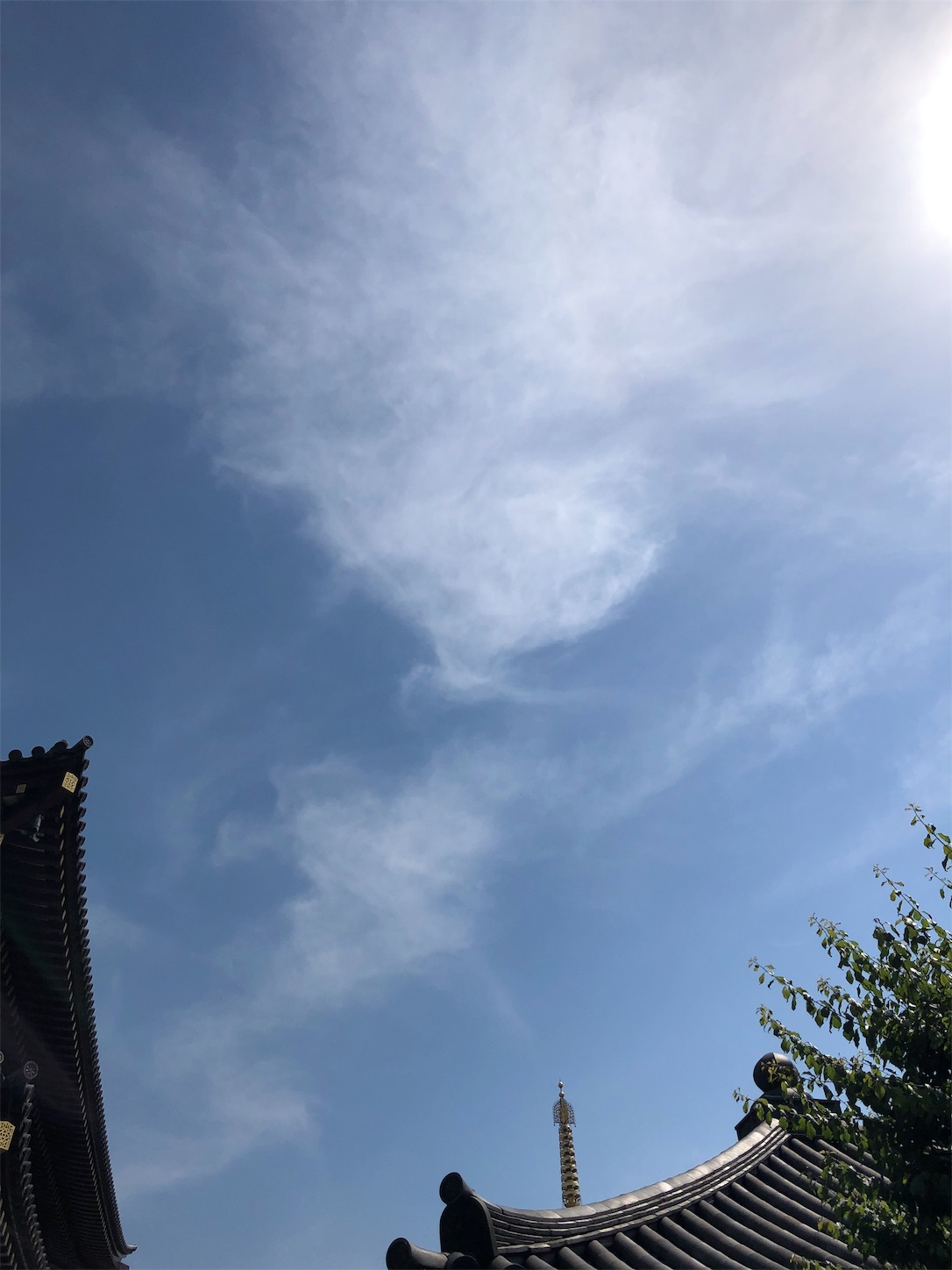 f:id:jeanrenon:20190526151909j:image