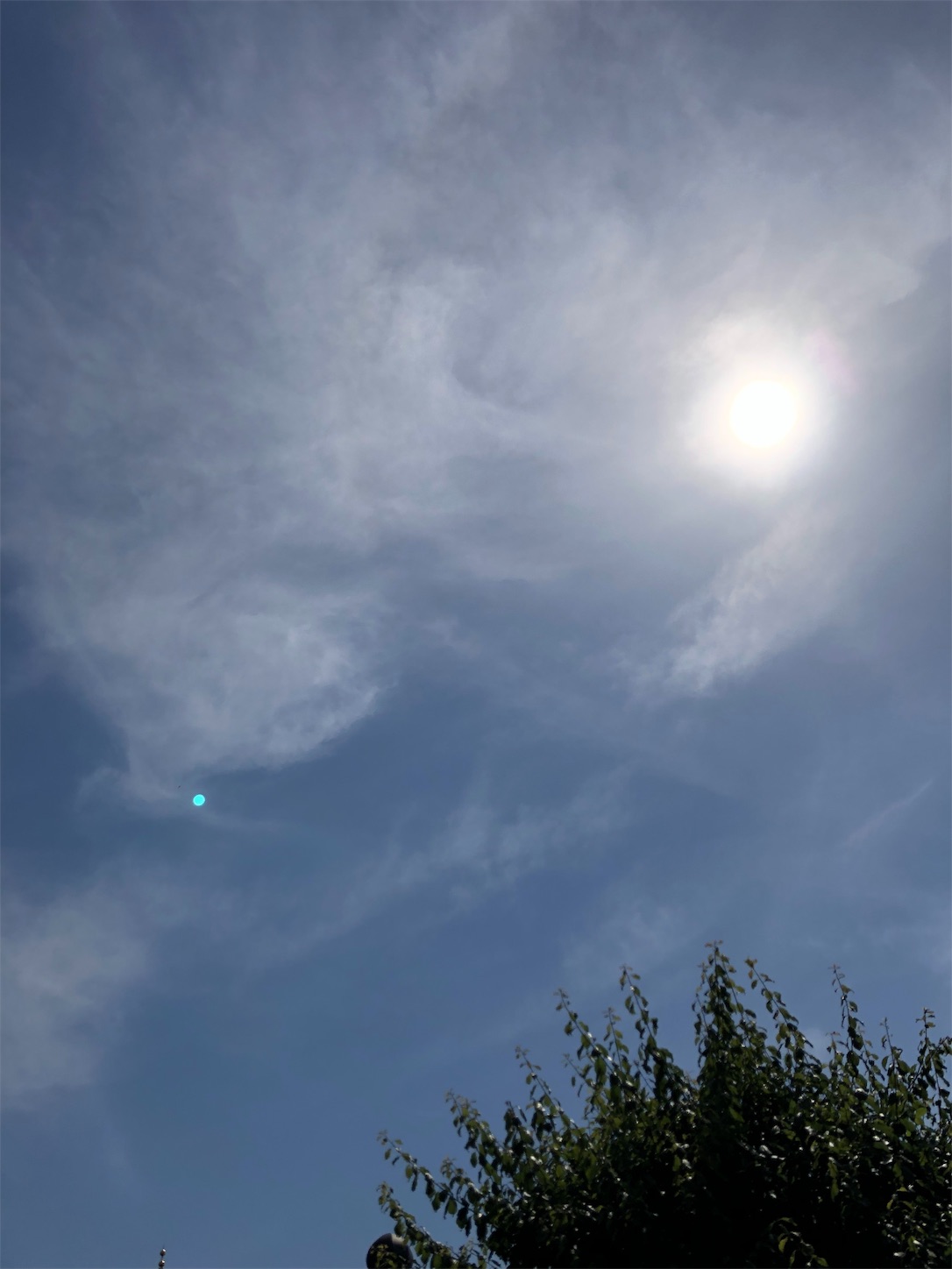 f:id:jeanrenon:20190526151917j:image