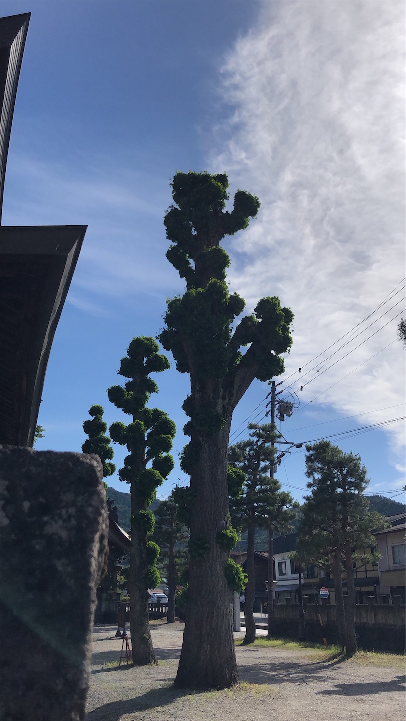 f:id:jeanrenon:20190616231105j:image
