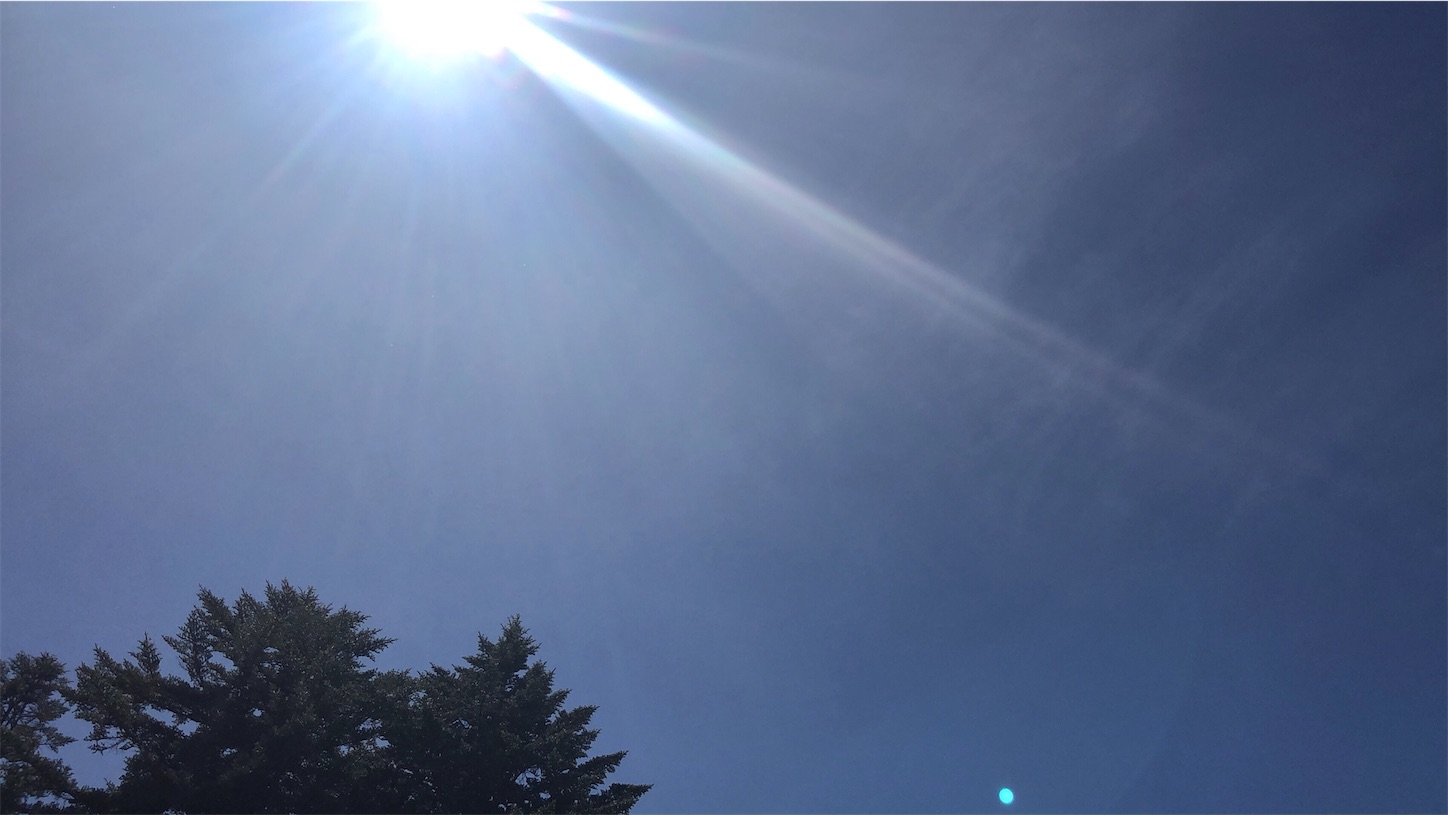 f:id:jeanrenon:20190616231121j:image