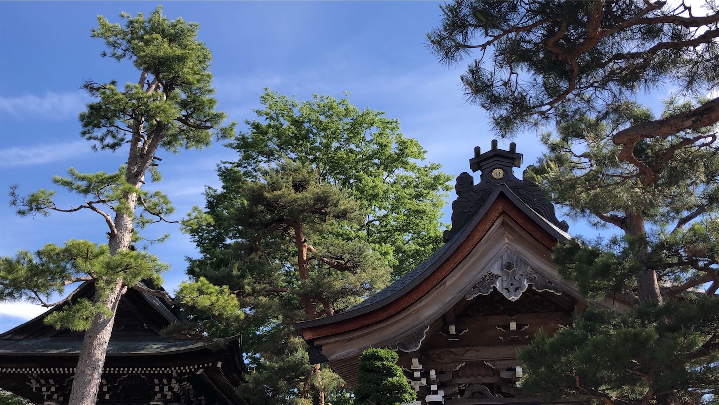 f:id:jeanrenon:20190616231205j:image