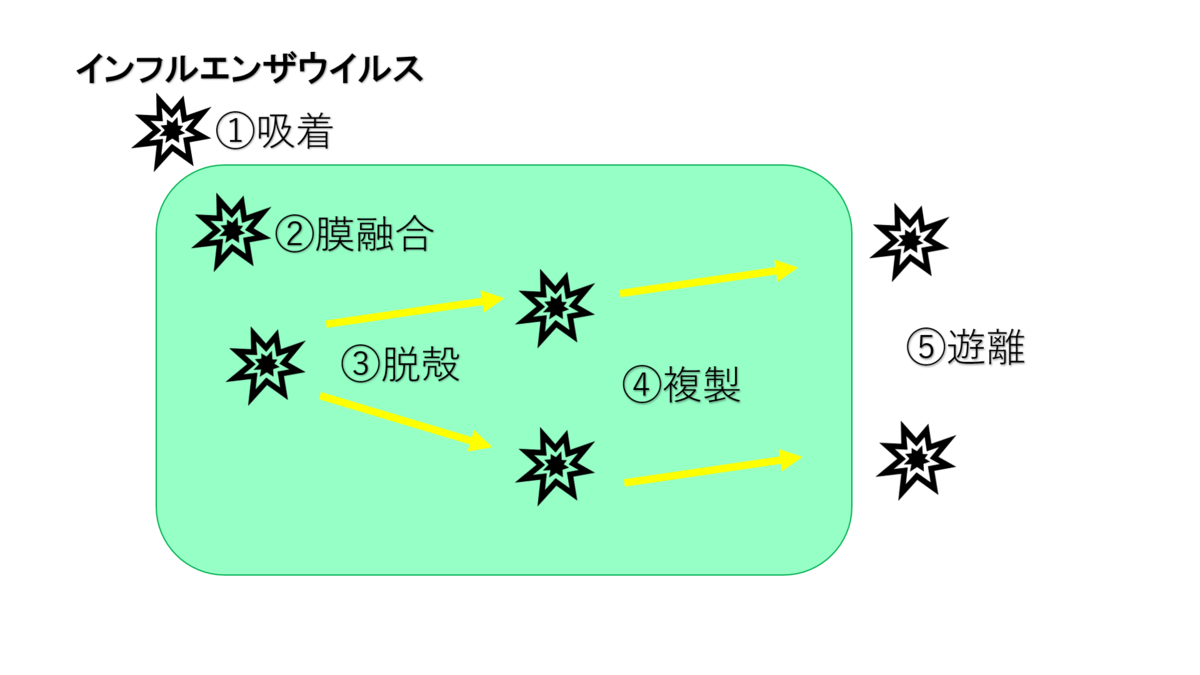 f:id:jeconomy:20200427105336p:plain