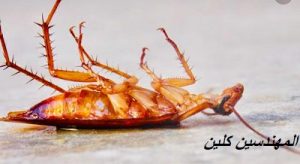 f:id:jeddahcleaningcompany:20200124130134j:plain f:id:jeddahcleaningcompany:20200124130134j:plain