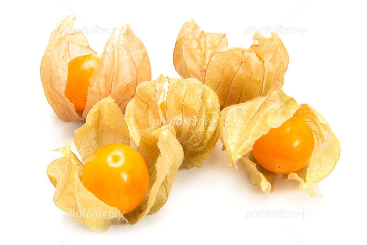 f:id:jedimaster8899:20200925185319j:plain f:id:jedimaster8899:20200925185319j:plain