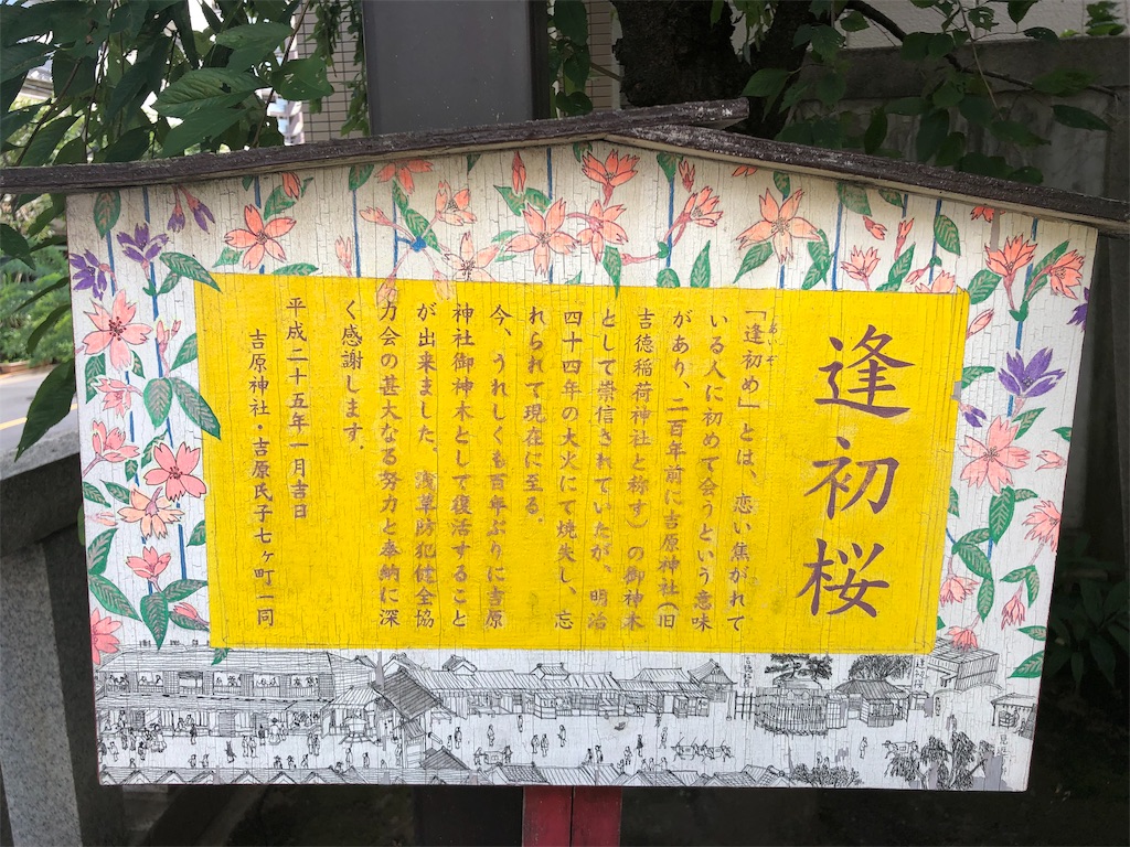 f:id:jediyusuke:20190726164323j:image f:id:jediyusuke:20190726164323j:image