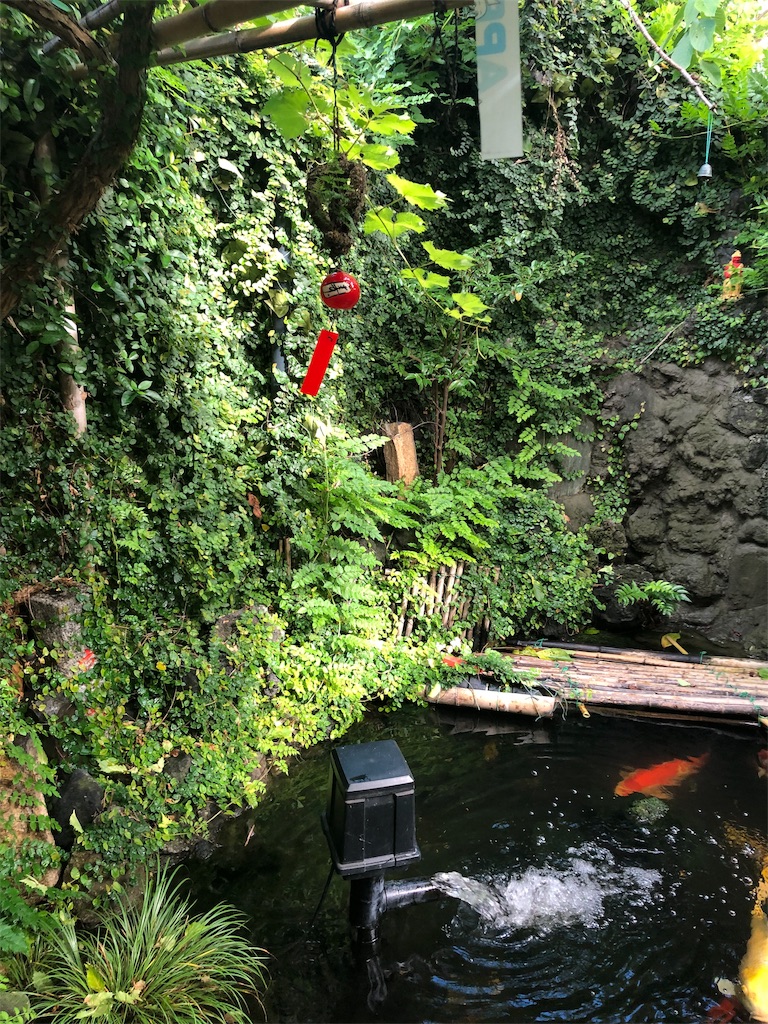 f:id:jediyusuke:20190726165113j:image f:id:jediyusuke:20190726165113j:image