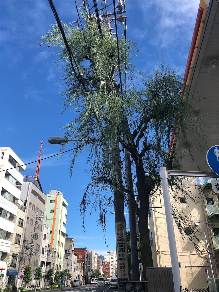 f:id:jediyusuke:20190726165933j:image f:id:jediyusuke:20190726165933j:image