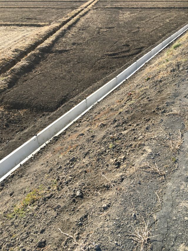 f:id:jeffgoldsmith81:20190202221827j:plain