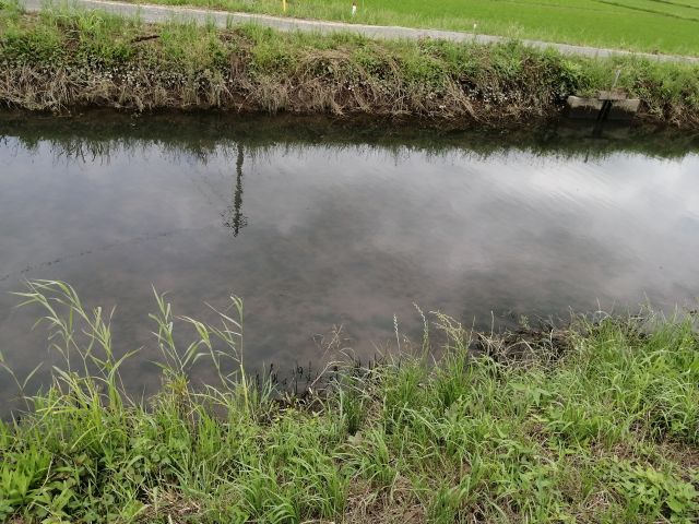 f:id:jeffgoldsmith81:20190612195311j:plain