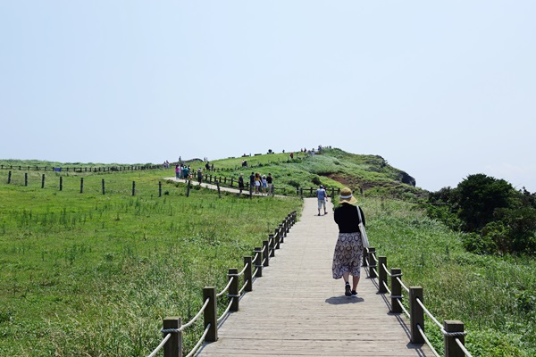 済州島の島、牛島(ウド)紹介！ - 済州観光公社ブログ