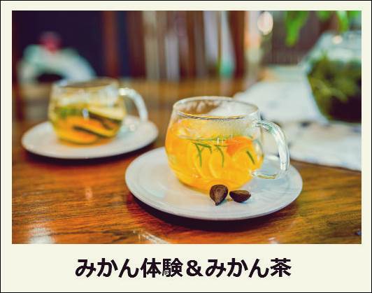 f:id:jejutour_jp:20171019133027j:plain f:id:jejutour_jp:20171019133027j:plain