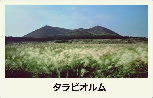 f:id:jejutour_jp:20171019133041j:plain f:id:jejutour_jp:20171019133041j:plain