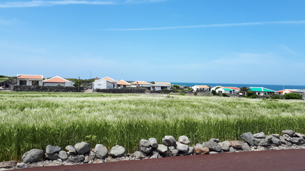 済州島(チェジュ島)春のおすすめ旅行 ＃加波島(カパド)青麦祭り - 済州