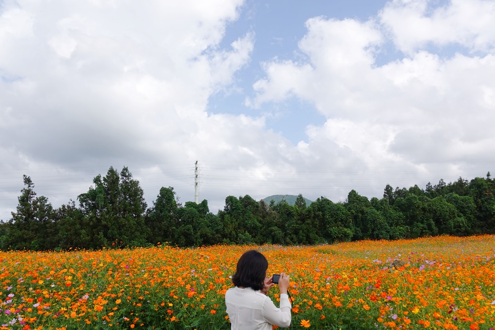 f:id:jejutour_jp:20180928175435j:plain f:id:jejutour_jp:20180928175435j:plain