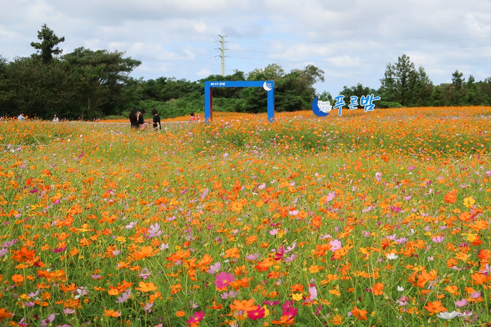 f:id:jejutour_jp:20180928175442j:plain f:id:jejutour_jp:20180928175442j:plain