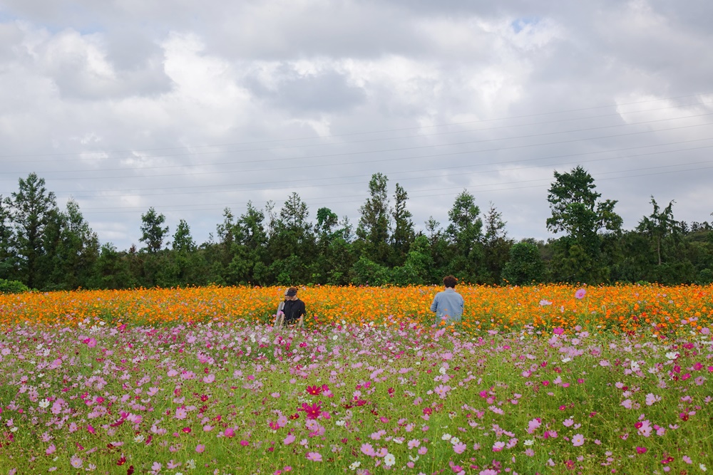 f:id:jejutour_jp:20180928175451j:plain f:id:jejutour_jp:20180928175451j:plain